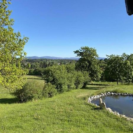 Cozy Apartment In Braunlage Near Forest Hohegeiß Eksteriør bilde