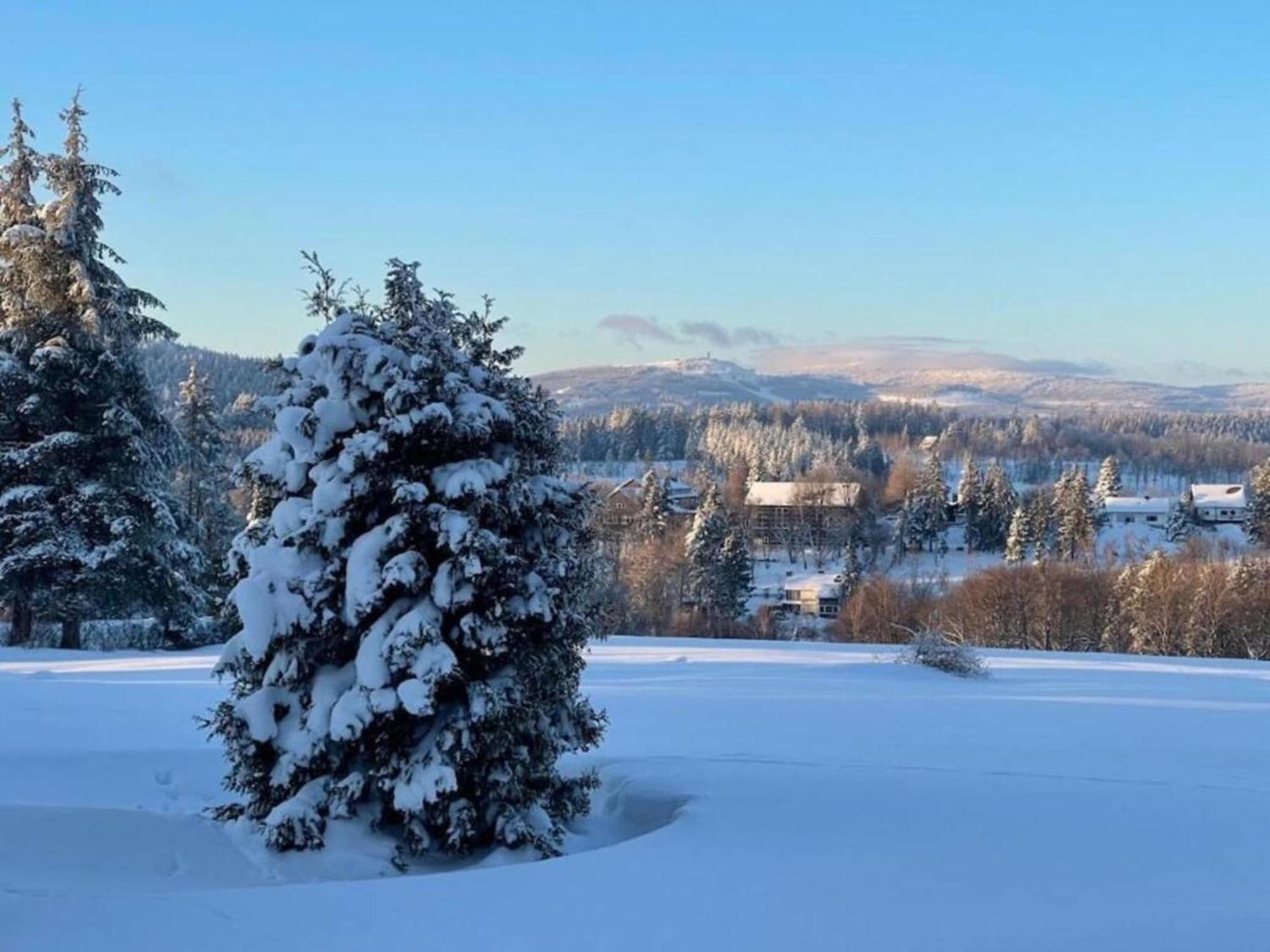 Cozy Apartment In Braunlage Near Forest Hohegeiß Eksteriør bilde