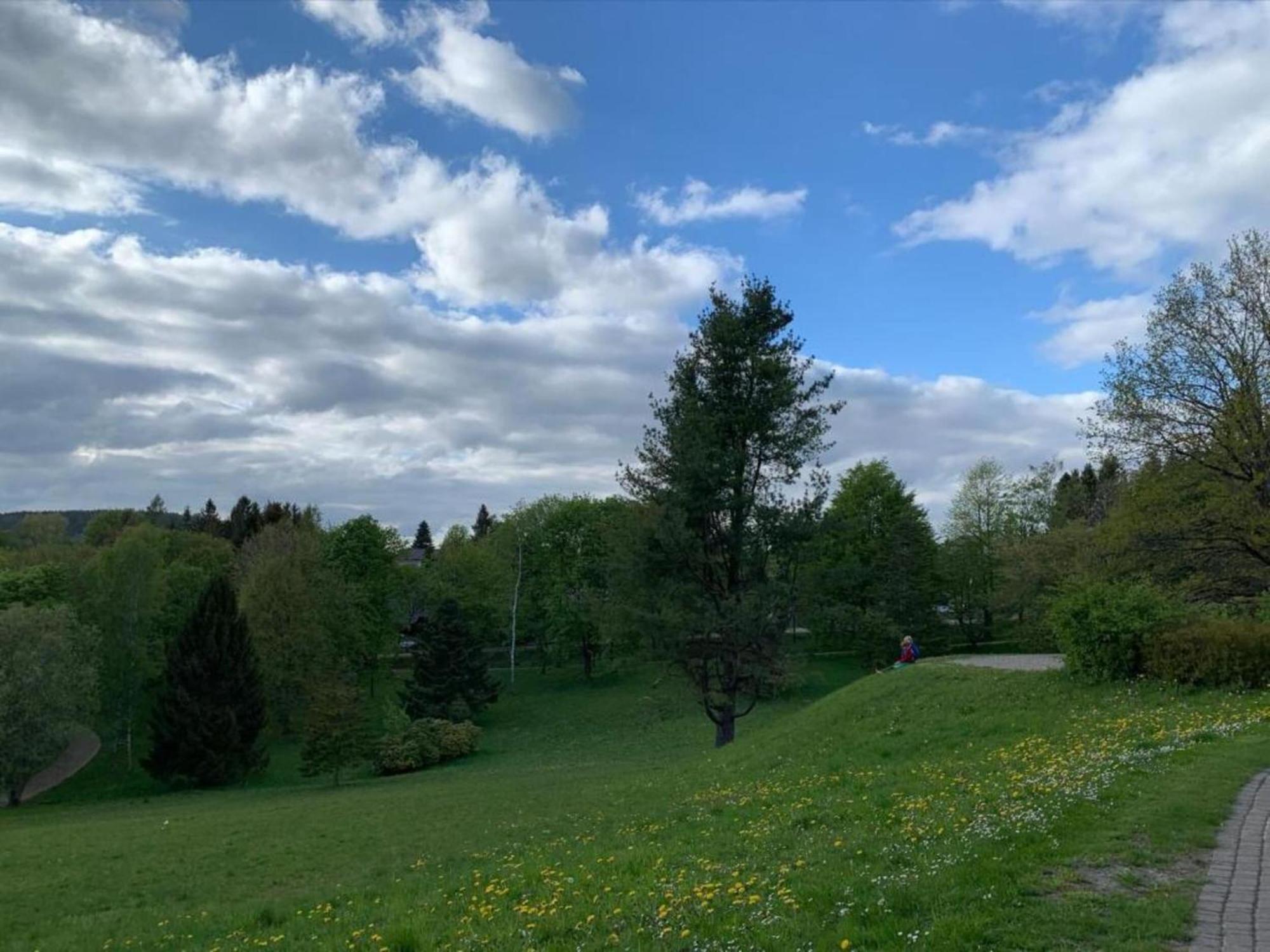 Cozy Apartment In Braunlage Near Forest Hohegeiß Eksteriør bilde
