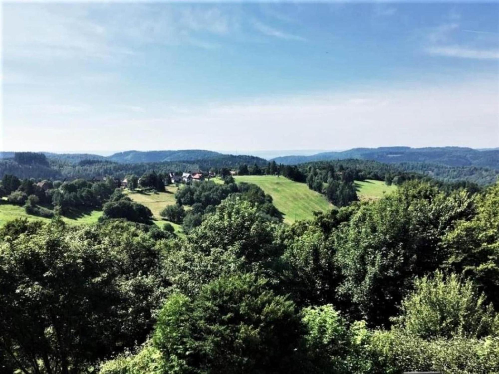 Cozy Apartment In Braunlage Near Forest Hohegeiß Eksteriør bilde