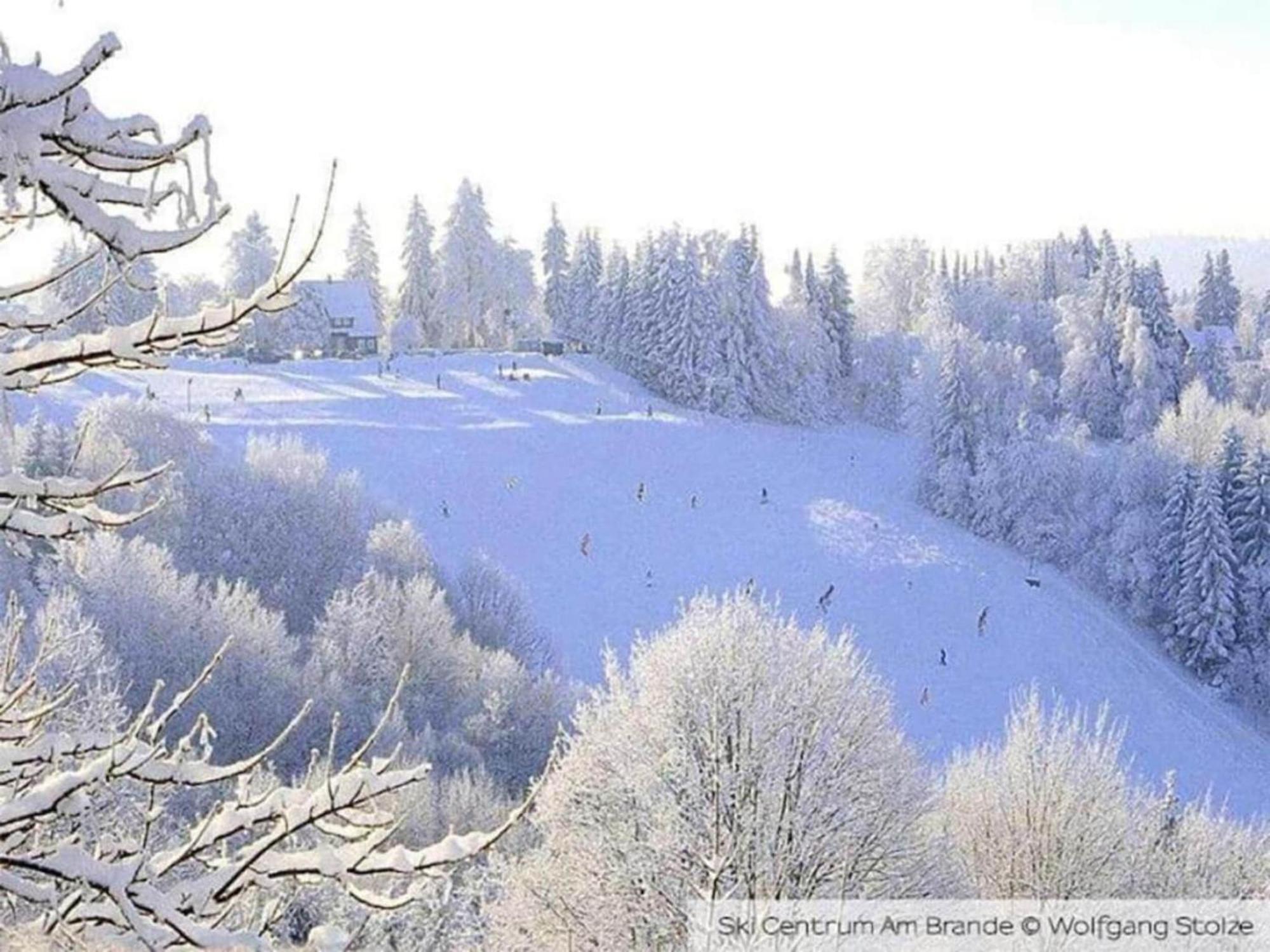 Cozy Apartment In Braunlage Near Forest Hohegeiß Eksteriør bilde