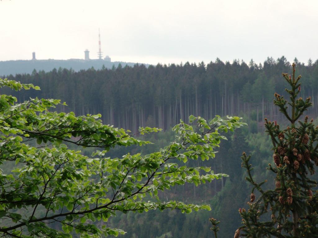 Cozy Apartment In Braunlage Near Forest Hohegeiß Eksteriør bilde