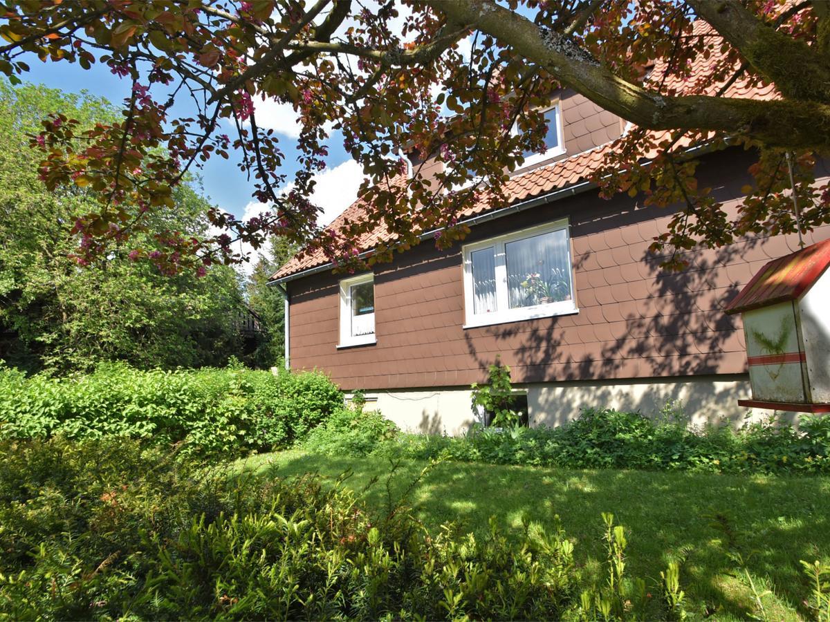 Cozy Apartment In Braunlage Near Forest Hohegeiß Eksteriør bilde